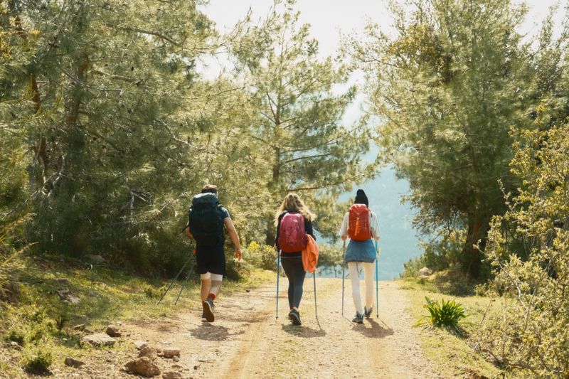 hikers